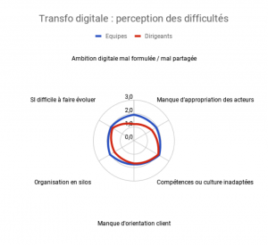 Transformation digitale - perception